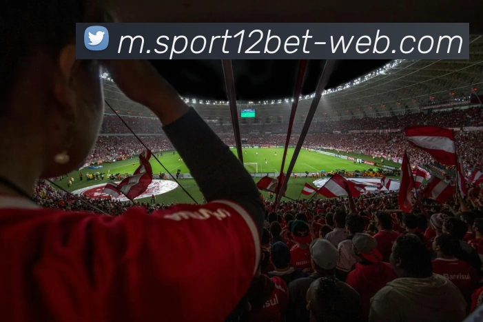 12bet平台生态图